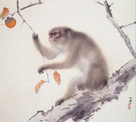Affe